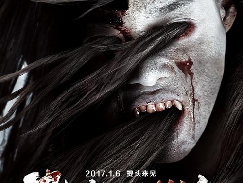 高中毕业证编号是学籍号吗?